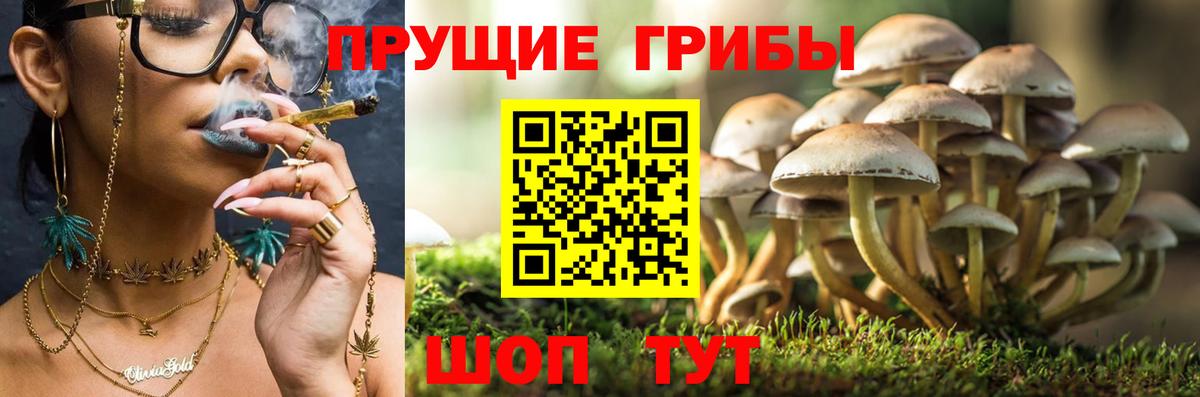 Магнитогорск  Псилоцибиновые грибы мухоморы  Вход с VPN 